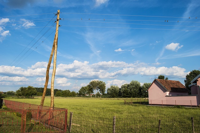 Have A Look On Uses and Types Of Fencing !