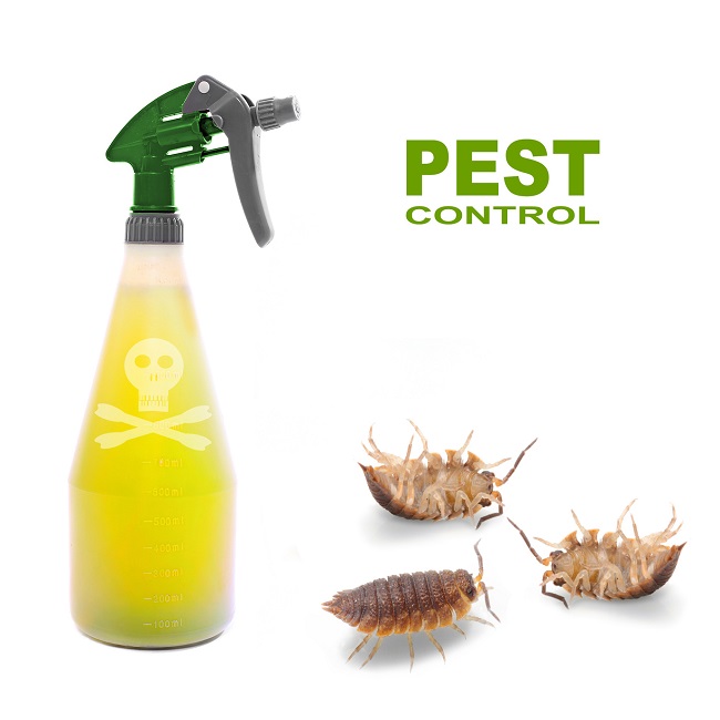 Diseases Caused by Pests and Guidance For Hiring Control Agencies For Pests