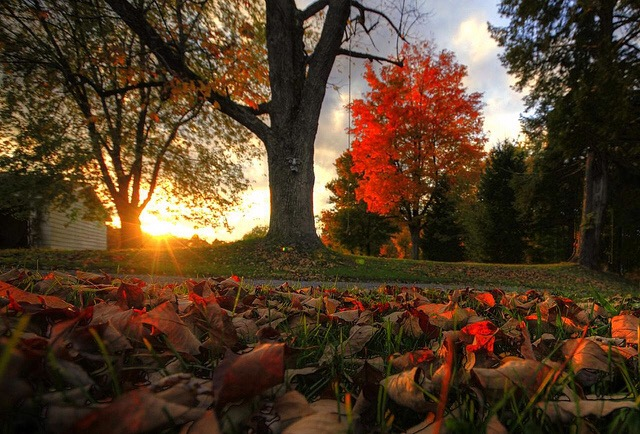 Canvas Print Of Nature’s Beauty In The Fall