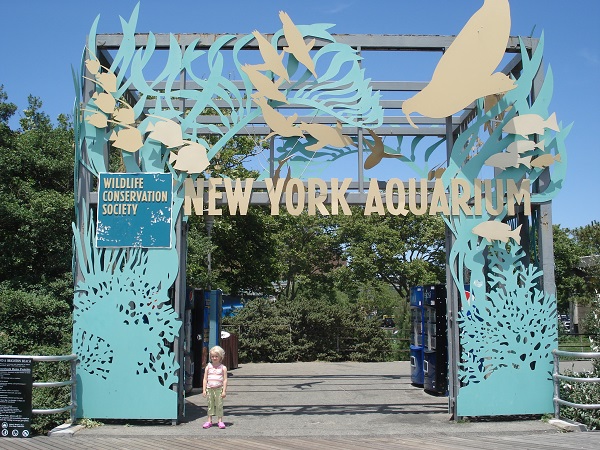 Popular Aquariums In And Around NYC