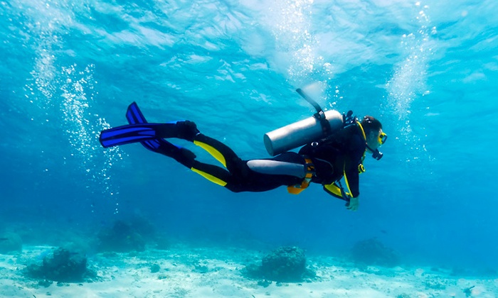 Padi Scuba Diving: Some Tips To Improve Efficiency and Skills