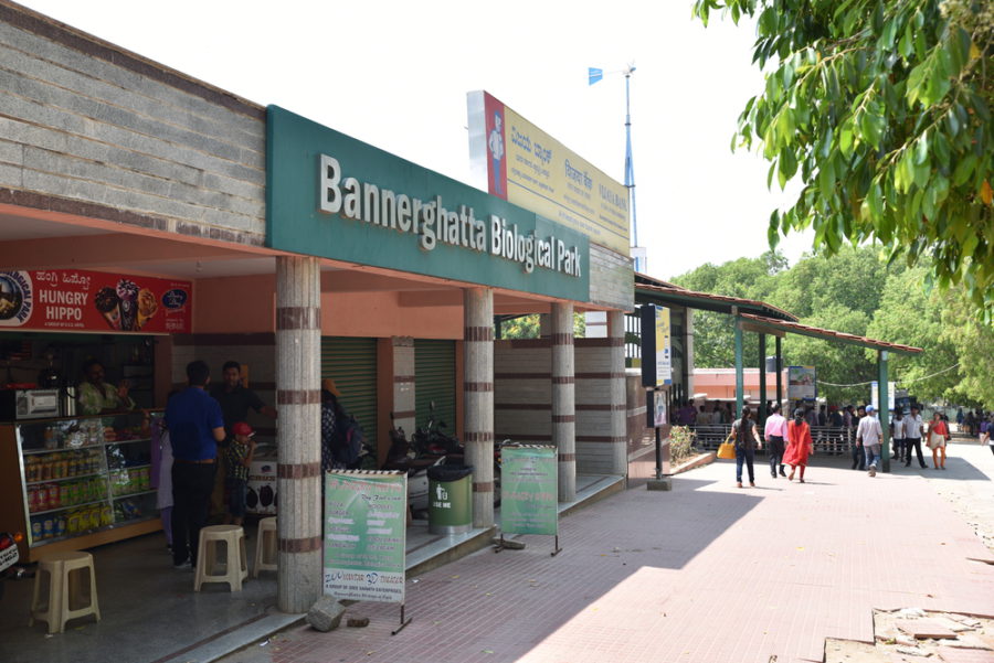 Bannerghatta Biological Park- Nature's Abode In Bangalore
